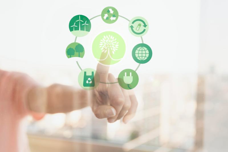 soluciones habitacionales eco life homes